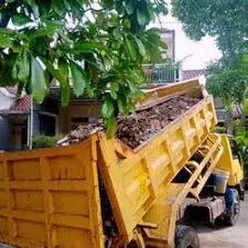 Layanan Cepat Hari Ini